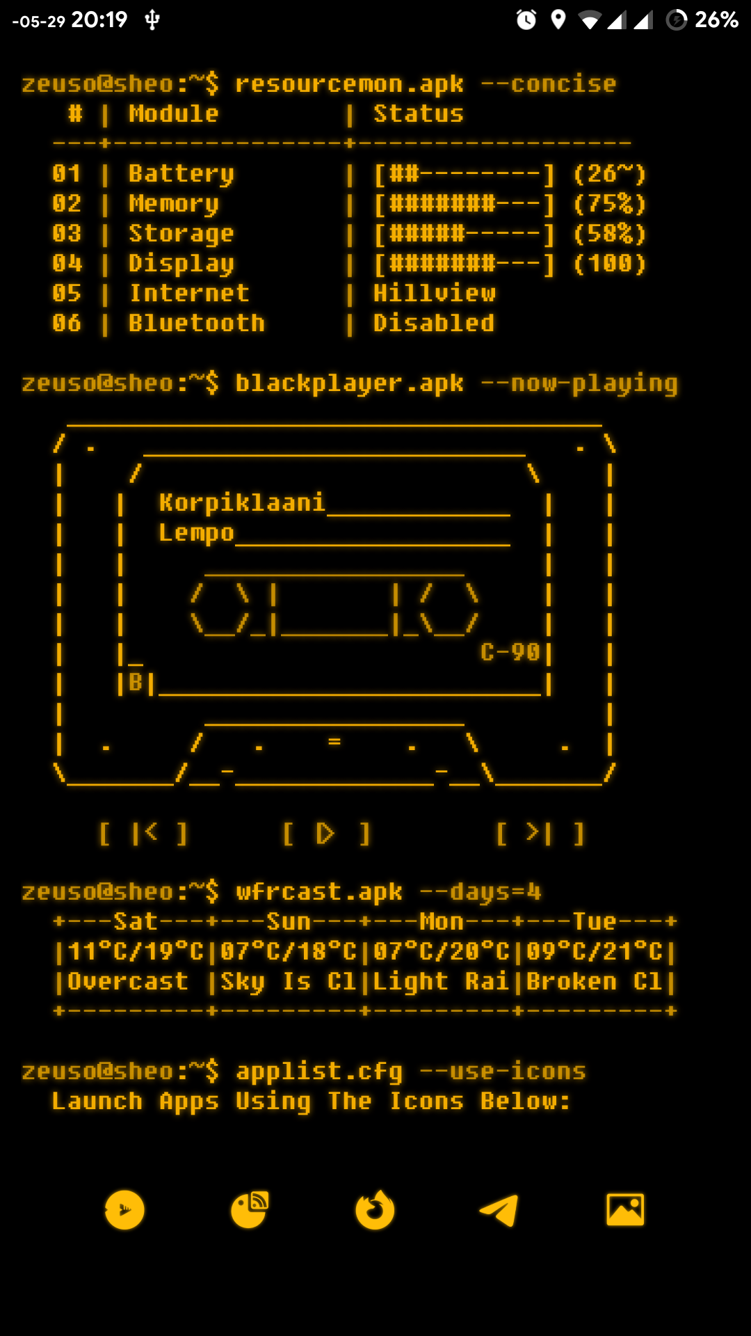 Amber Terminal Preview